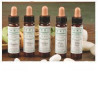 AINSWORTHS WHITE CHESTNUT 10ML
