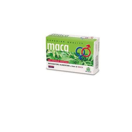 MACA 60CPS PERS