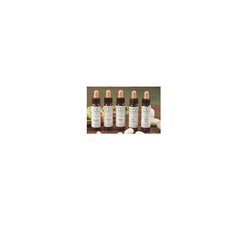 AINSWORTHS LARCH 10ML