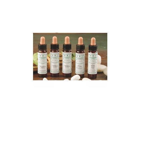 AINSWORTHS MIMULUS 10ML