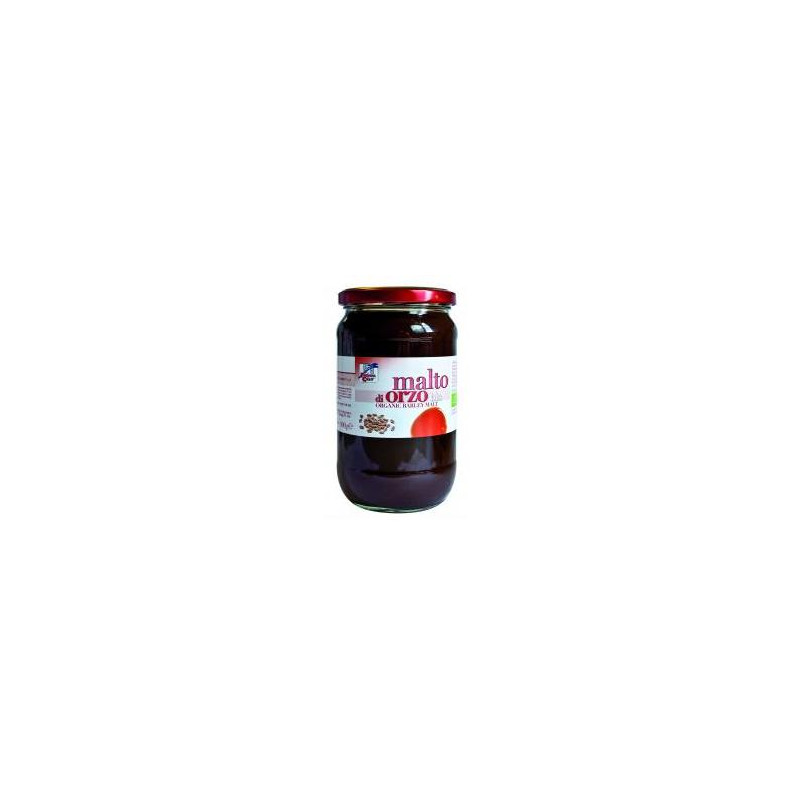 MALTO ORZO BIO 900G