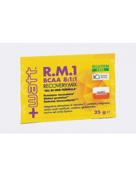 RECOVERY MIX BCAA 25G