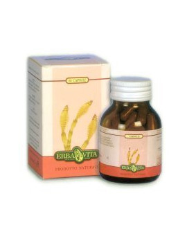 FUCUS 60CPS 500MG