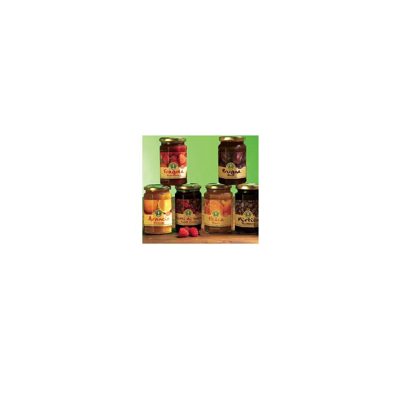 FRU COMPOSTA FRAGOLA 330G