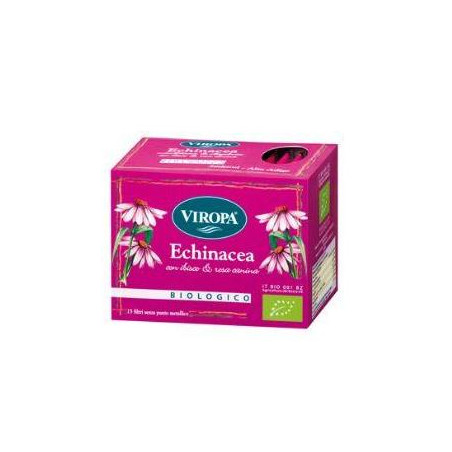 VIROPA ECHINACEA 15BUST
