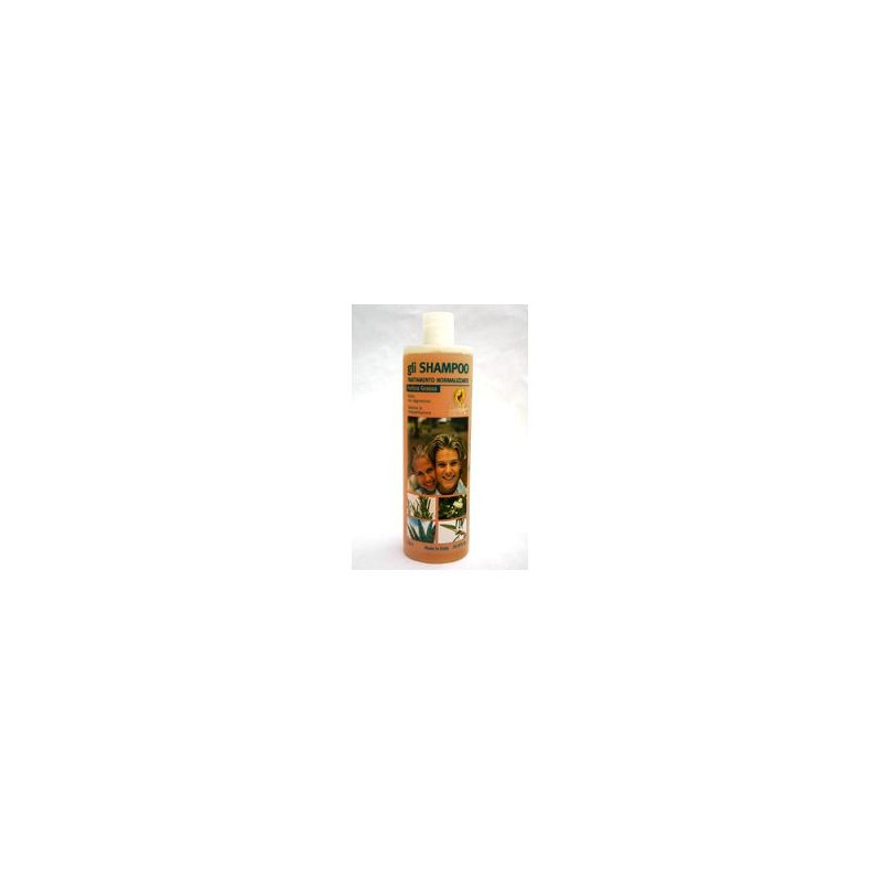 SHAMPOO NORM ANTIFORF GRAS 1LT