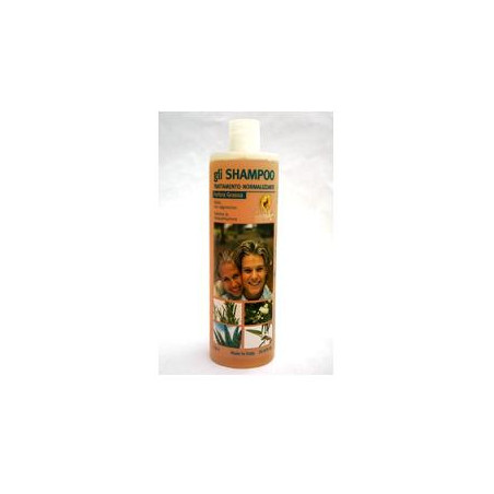 SHAMPOO NORM ANTIFORF GRAS 1LT