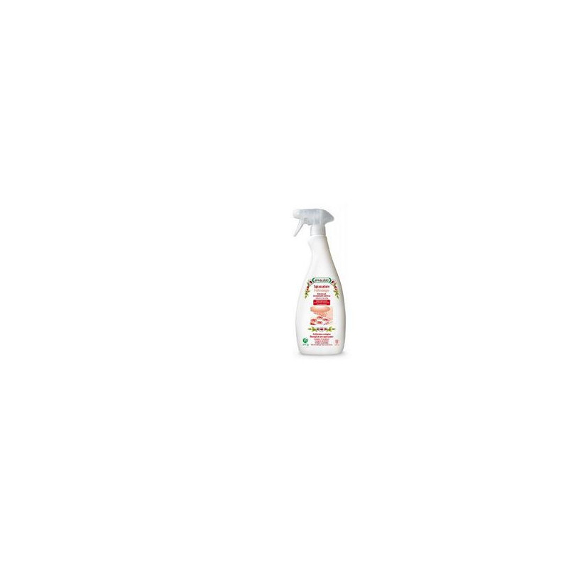 SGRASSATORE IGIENIZ SPRAY750ML
