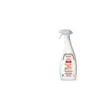 SGRASSATORE IGIENIZ SPRAY750ML