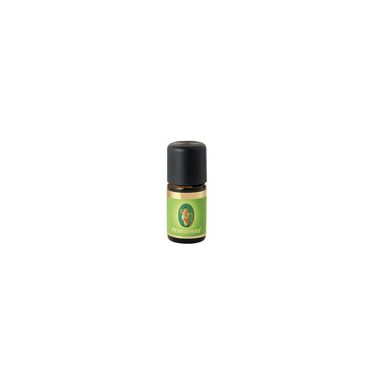 ZENZERO OLIO ESSENZIALE BIO5ML