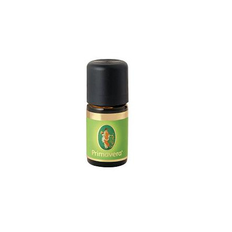 ZENZERO OLIO ESSENZIALE BIO5ML
