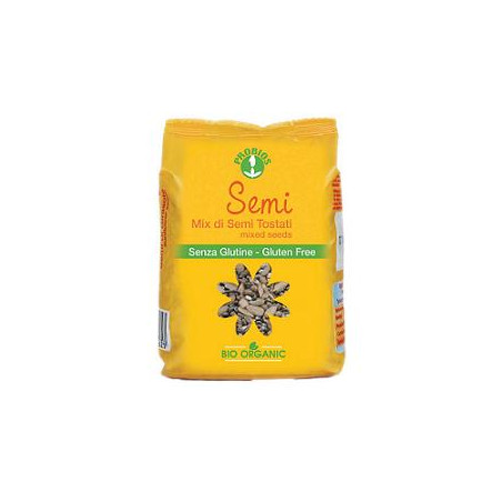 MIX DI SEMI TOSTATI 250G