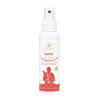 AMORE ARIA SPRAY 100ML