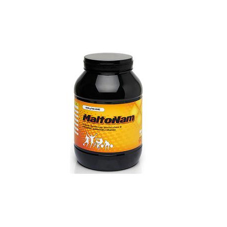 MALTONAM 500G