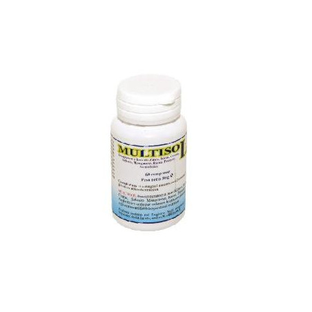 MULTISOL 60CPR