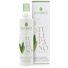 NATURE'S TULIPANO BIANCO ACQUA