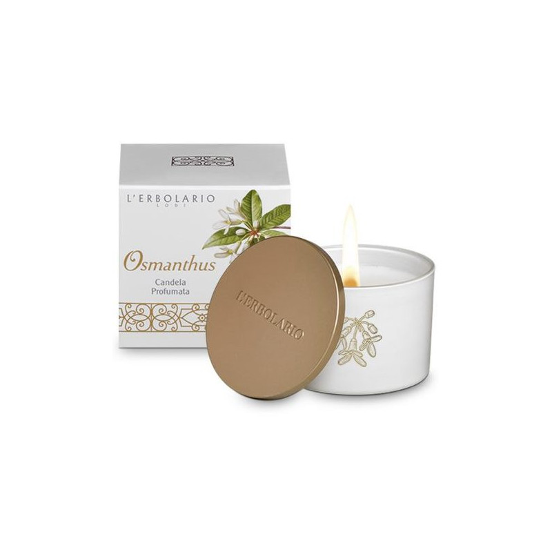 OSMANTHUS CANDELA C/COPERCHIO