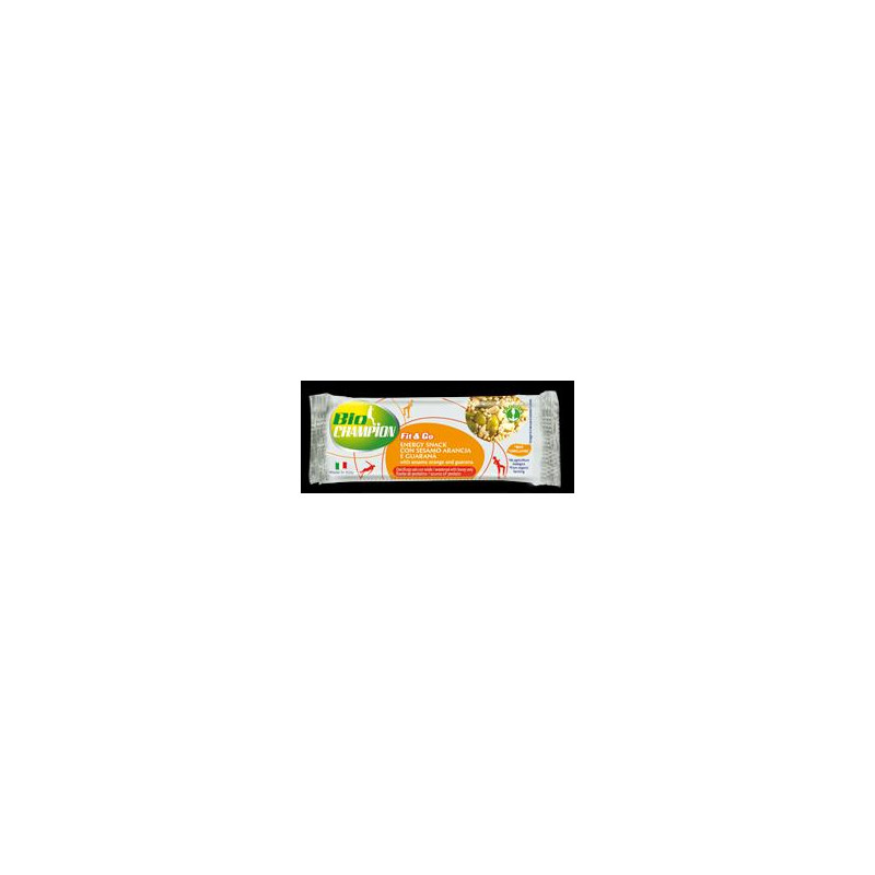 BCH FIT&GO BARR SES/AR/GU 30G