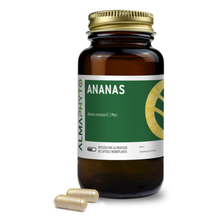 ANANAS 60CPS