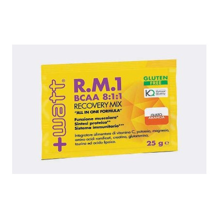 RECOVERY MIX BCAA 25G