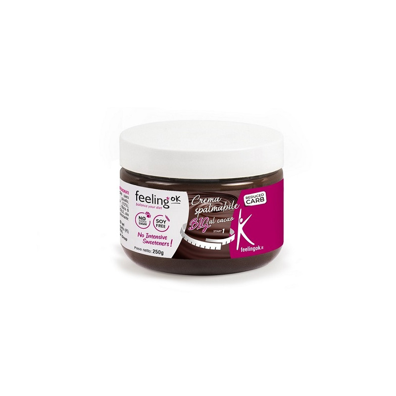 FEELING OK CREMA CACAO BIG250G