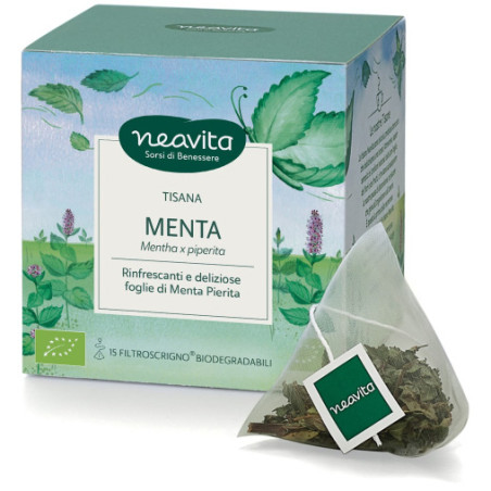 FILTROSCRIGNO MENTA PIP 15FILT