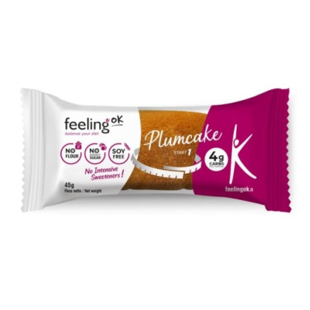 FEELING OK PLUM CAKE ARA 45G