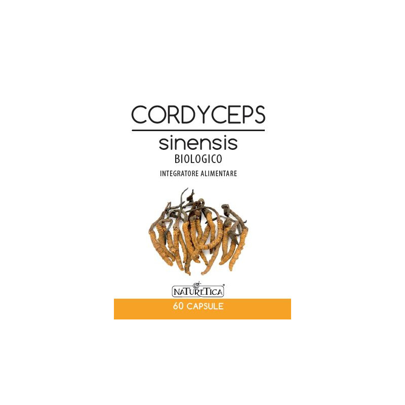 CORDYCEPS SINENSIS 60CPS