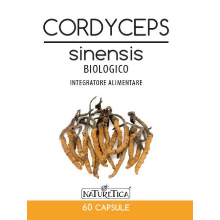 CORDYCEPS SINENSIS 60CPS