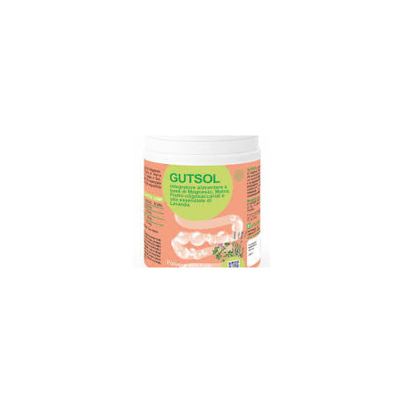 GUTSOL 100G