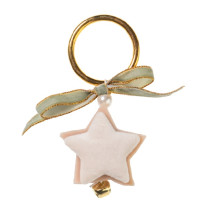 AMOREVOLE STELLA SALVIA