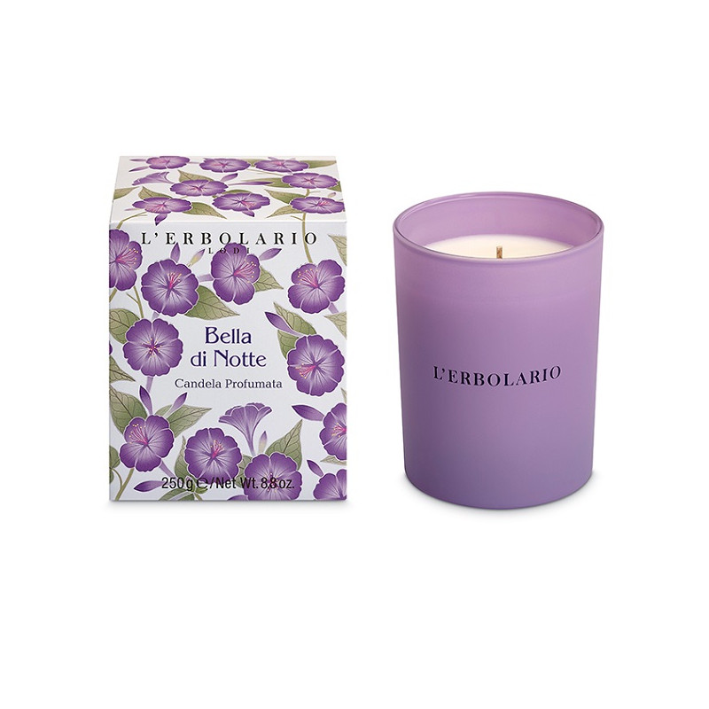 BELLA DI NOTTE CANDELA PROF ED