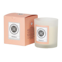 HIMALAYA CANDELA PROF FRAGOLA