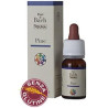 PINE GUN GTT 10ML
