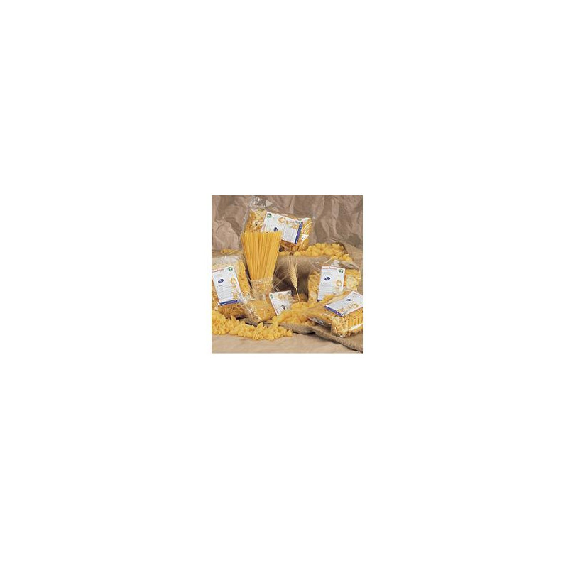 PAS FRUM BIANCA PENNE RIGA500G
