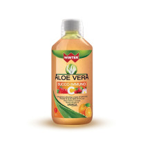 WINTER ALOE VERA SUCCO IMMUN1L