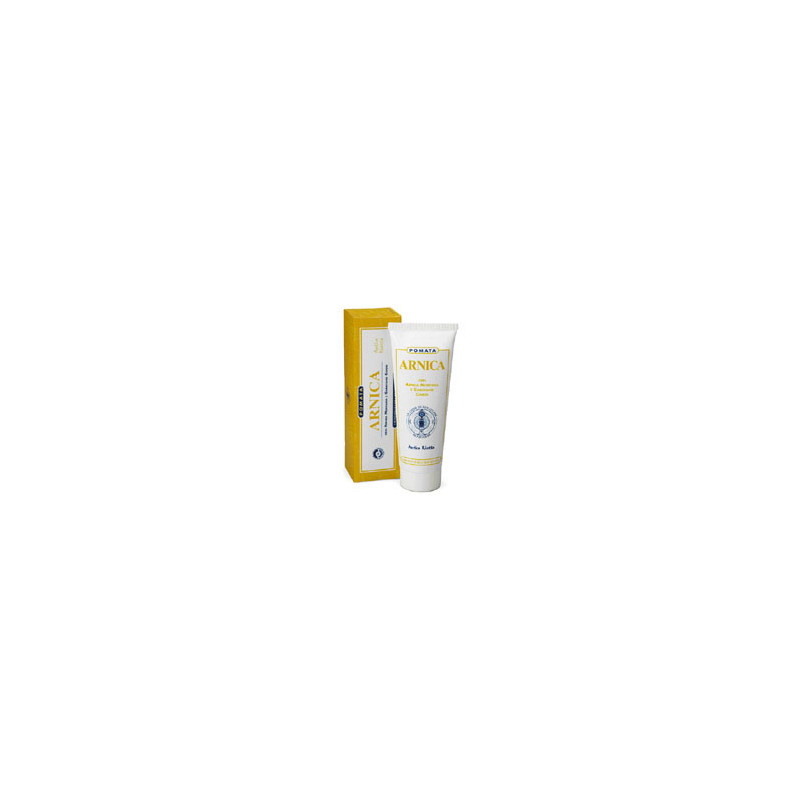 ARNICA FORTE POMATA 100ML