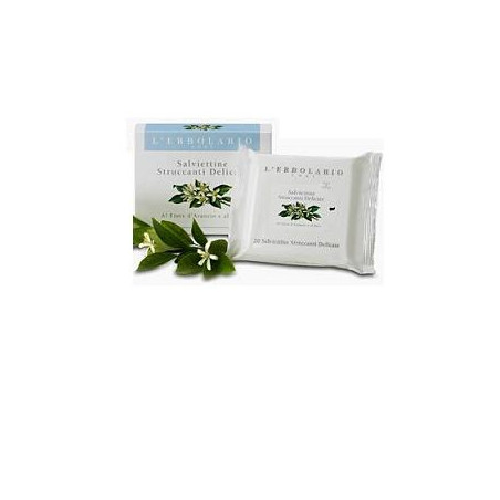 SALVIETTE STRUCCANTI DEL 20PZ
