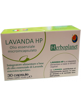 LAVANDA HP 30CPS