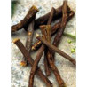 TSA GLYCYRRHIZA GLABRA 50ML
