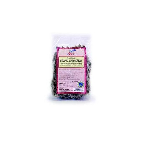 FUSILLI INT GRANO SARACEN BIO