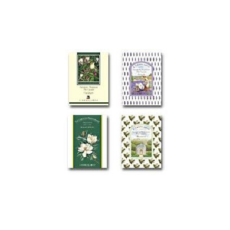 LAVANDA SACCHETTO PROF CASS