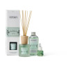 ESSENZA AROMATICA TE' VERDE BE