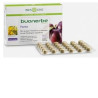 BUONERBE FORTE 30CPR BIOSLINE