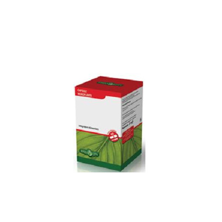 BOSWELLIA SERRATA 60CPS 400MG